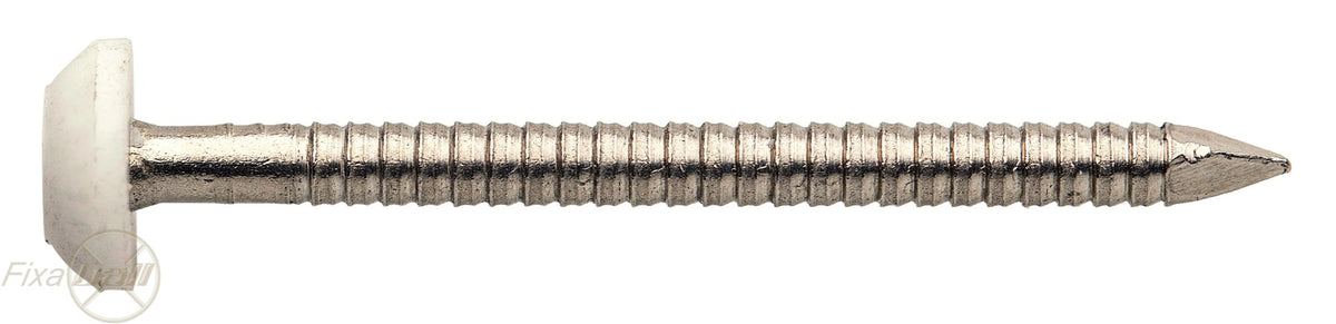 Plastic Headed Nails, A4 Stainless Steel Nails Plastic Headed Nails, A4 Stainless Steel Plastic Head Nails