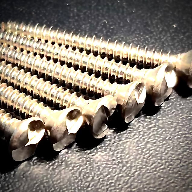 Clutch Security Self Tapping Screw