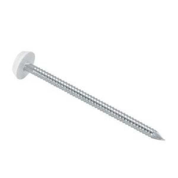 Plastic Headed Nails, A4 Stainless Steel Nails Plastic Headed Nails, A4 Stainless Steel Plastic Head Nails
